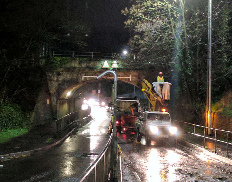 Emergency Tree clearance services Ceredigion