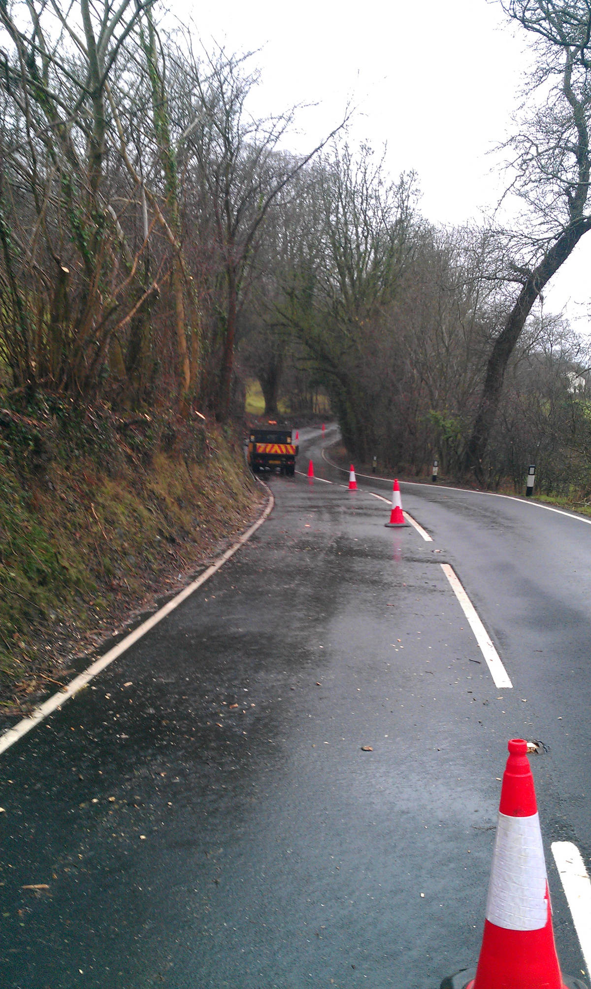 Road Side Clearance