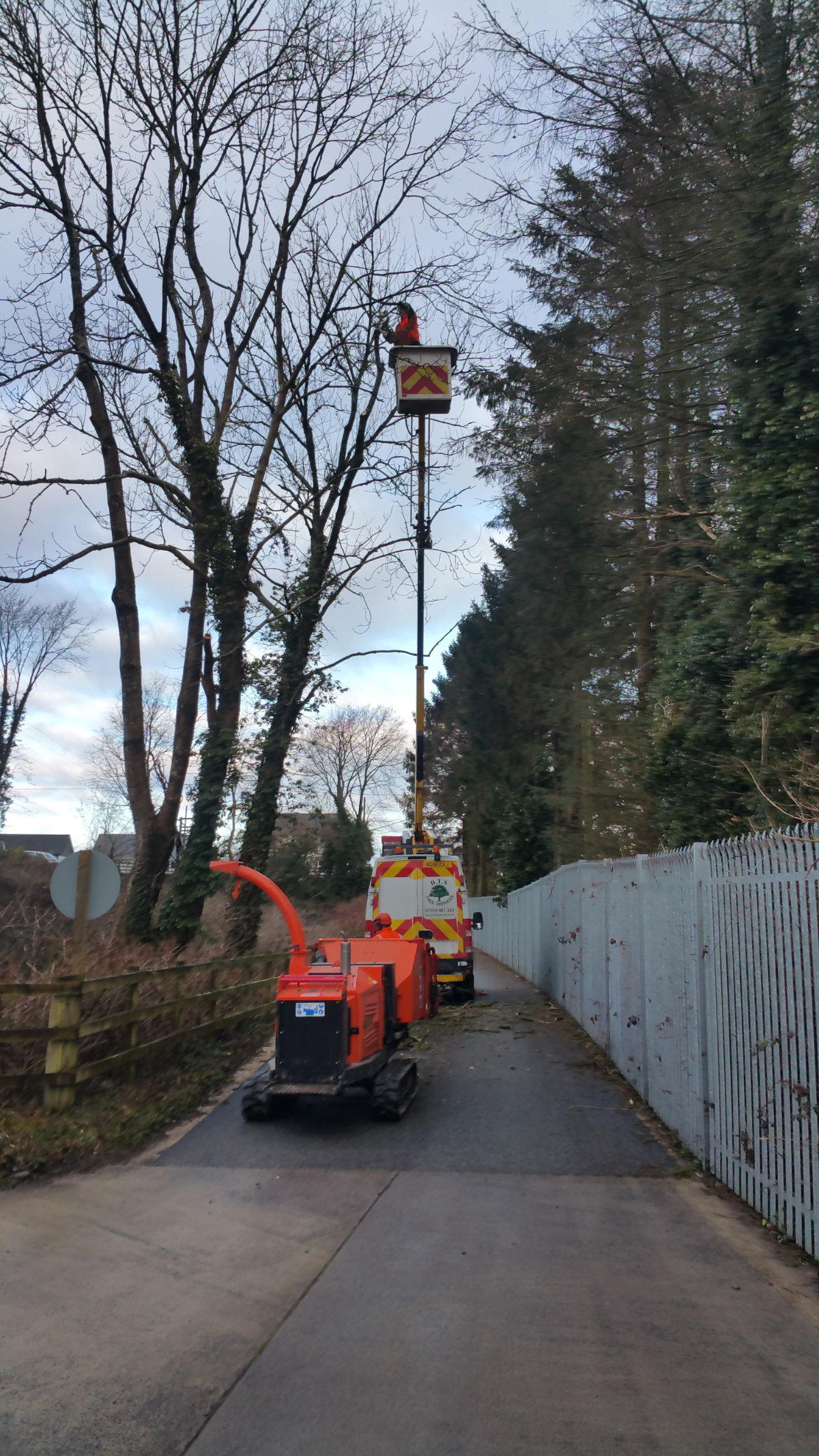 Tree Management